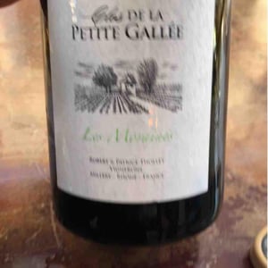 Viognier 2020 - La Petite Gallée - Robert & Patrice Thollet