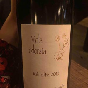 Viola Odorata - Domaine Henri Naudin-Ferrand - claire-naudin