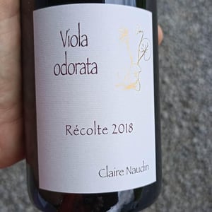 Viola Odorata - Domaine Henri Naudin-Ferrand - claire-naudin