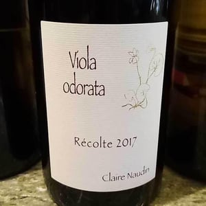 Viola Odorata - Domaine Henri Naudin-Ferrand - claire-naudin