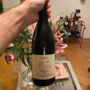 Viola - Strekov 1075 - Zsolt Sütó 