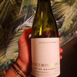 Viré-Clessé - Domaine de la Bongran - gauthier-thevenet -2017