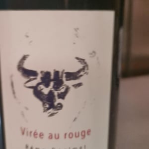 Virée au rouge - Vignobles Doulmet - Domaine Du Fils D'Eole - Thierry & Rémy Doulmet 