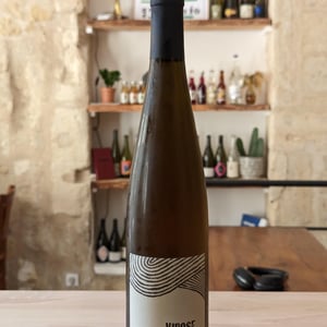 Virose - Léo Dirringer - leo-dirringer