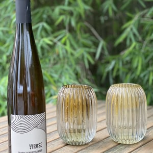 Virose - Léo Dirringer - leo-dirringer