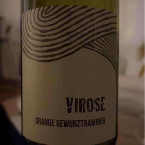 Virose - Léo Dirringer - Léo Dirringer 