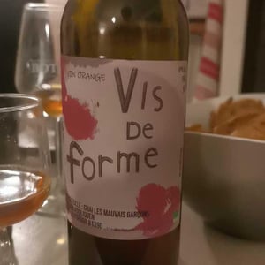 Vis de Forme - Chai les Mauvais Garçons - Florian Houard et Romaric Pouliquen 
