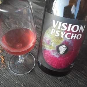 Vision Psycho - No Control - Vincent Marie -2020