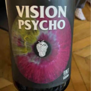 Vision Psycho - No Control - Vincent Marie -2020