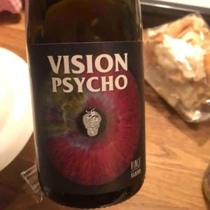 Vision Psycho - No Control - Vincent Marie -2020
