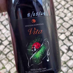 Vita - Marzagana Elementales - claudio-miguel-luis-lorenzo-9u