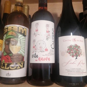Vita nuova - Cautiero Winery - fulvio-imma-cautiero -2019