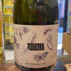 Vitale 19 - Malga Ribelle - Vitale Girardi -2022