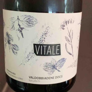 Vitale - Malga Ribelle - Vitale Girardi -2022
