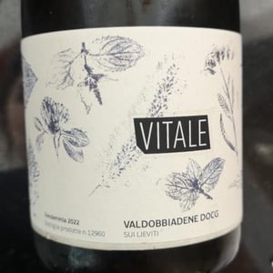 Vitale - Malga Ribelle - vitale-girardi -2022