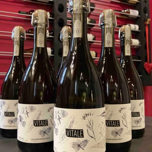 Vitale - Malga Ribelle - vitale-girardi -2022