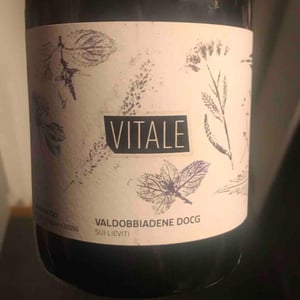 Vitale - Malga Ribelle - vitale-girardi -2022