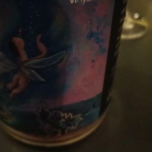 Còsmic Vinyaters - Salvador Batlle Barrabeig - Vitalitat