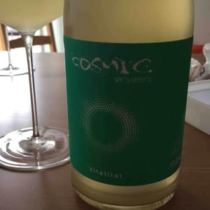 Còsmic Vinyaters - Salvador Batlle Barrabeig - Vitalitat