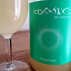 Vitalitat - Còsmic Vinyaters - salvador-batlle-barrabeig