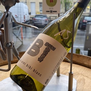Viti Vini Bibi - Domaine Benjamin Taillandier - benjamin-taillandier