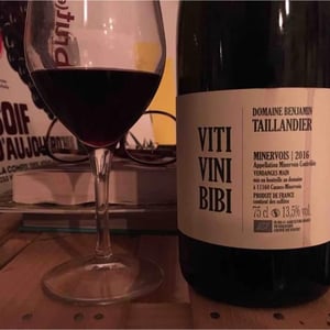 Viti Vini Bibi 2016