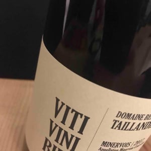 Viti Vini Bibi - Domaine Benjamin Taillandier - Benjamin Taillandier 
