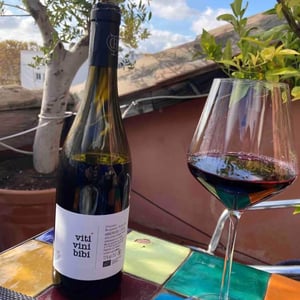 Domaine Benjamin Taillandier - Benjamin Taillandier - Viti Vini Bibi