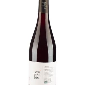 Viti Vini Bibi - Domaine Benjamin Taillandier - benjamin-taillandier