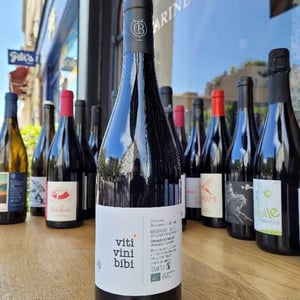 Viti Vini Bibi - Domaine Benjamin Taillandier - benjamin-taillandier