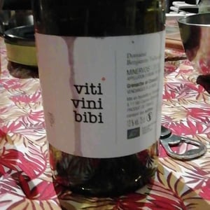 Viti Vini Bibi - Domaine Benjamin Taillandier - benjamin-taillandier