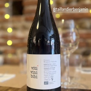 Viti Vini Bibi - Domaine Benjamin Taillandier - benjamin-taillandier