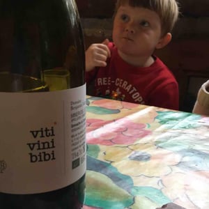Domaine Benjamin Taillandier - Benjamin Taillandier - Viti Vini Bibi