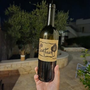 Pantun Rosso - Cantina Pantun - Domenico Caragnano 