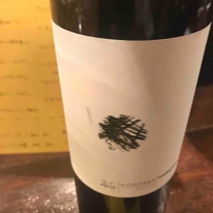 Vodopivec Winery - Paolo Vodopivec - Vitovska