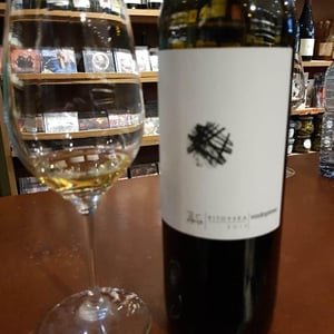 Vodopivec Winery - Paolo Vodopivec - Vitovska