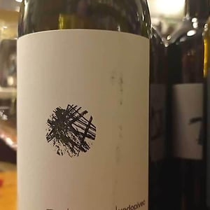 Vitovska - Vodopivec Winery - paolo-vodopivec