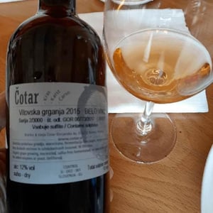 Čotar - Branko & Vasja Čotar - Vitovska
