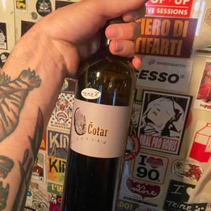 Vitovska - Čotar - branko-vasja-cotar