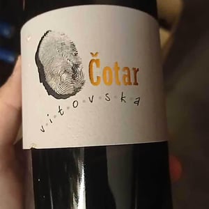 Vitovska - Čotar - branko-vasja-cotar
