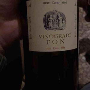 Vitovska - Vinogradi Fon - Marko Fon 