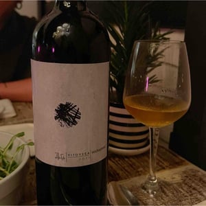 Vitovska - Vodopivec Winery - Paolo Vodopivec 