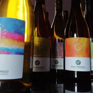 Viva - Poggio Bbaranèllo - Vignaioli Controvento - silvia-pragliola-lisa-gentili -2022