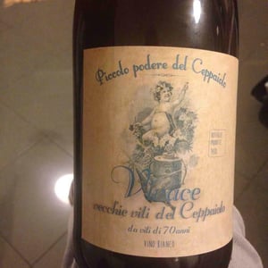 Vivace Vecchie Viti del Ceppaiolo - Piccolo Podere del Ceppaiolo - Danilo Marcucci & Riccardo Pennaforti 