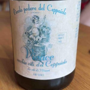 Vivace Vecchie Viti del Ceppaiolo - Piccolo Podere del Ceppaiolo - Danilo Marcucci & Riccardo Pennaforti 