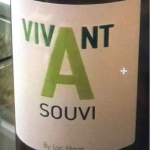Domaine du Petit Oratoire - Lori Haon - Vivant souvi