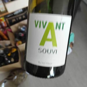 Domaine du Petit Oratoire - Lori Haon - Vivant souvi