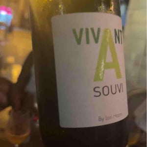 Vivant souvi 0