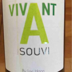 Vivant souvi - Domaine du Petit Oratoire - Lori Haon 