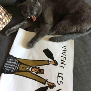 Vive les vins libres